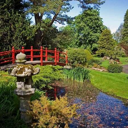 The Curragh Country House Accommodation Newbridge  Dış mekan fotoğraf