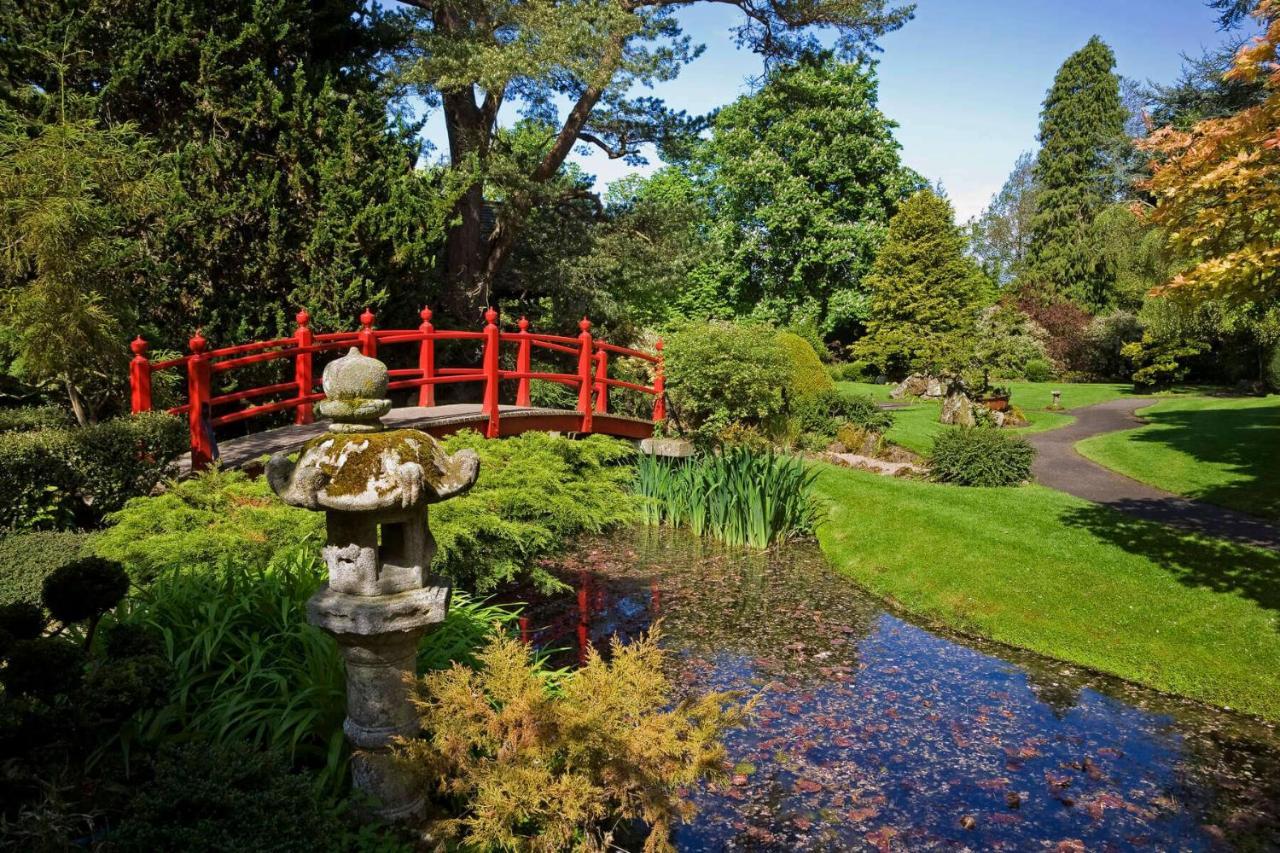 The Curragh Country House Accommodation Newbridge  Dış mekan fotoğraf