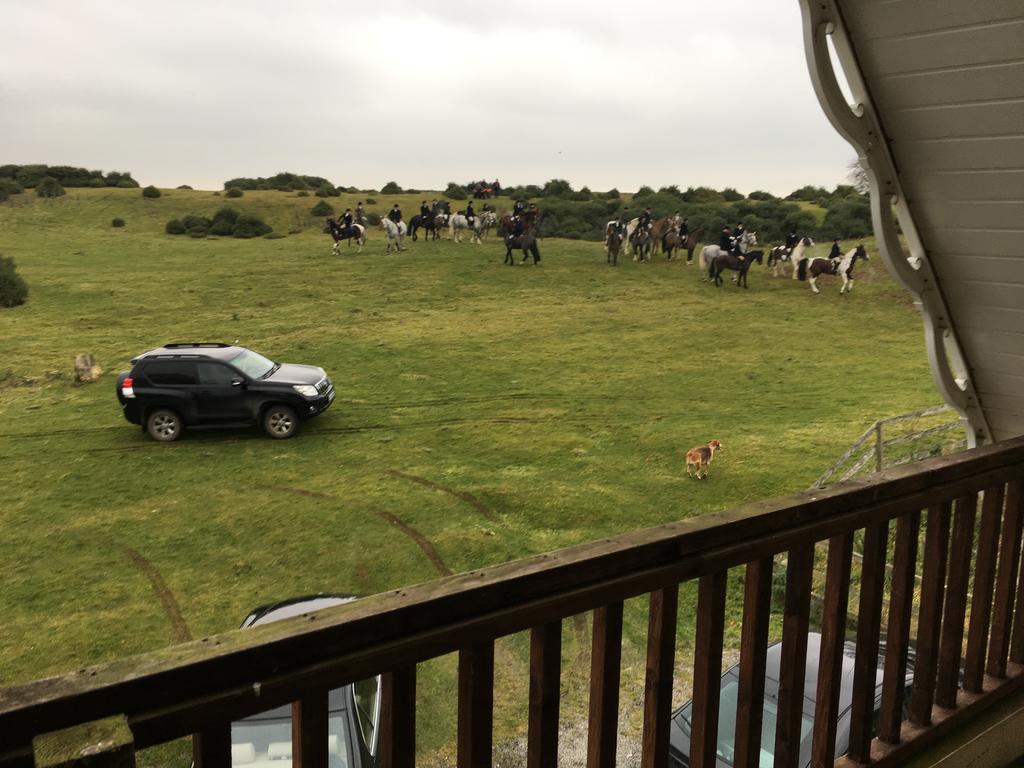 The Curragh Country House Accommodation Newbridge  Dış mekan fotoğraf